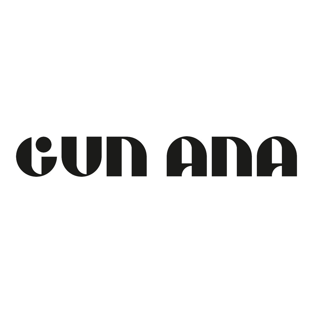 Gun Ana